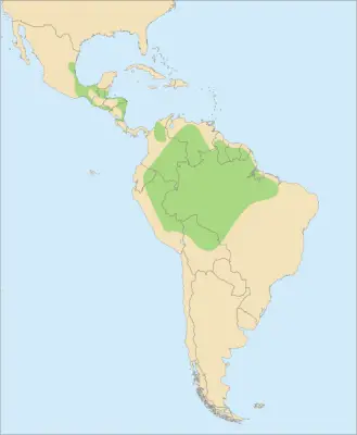 Guacamayo escarlata mapa del hábitat